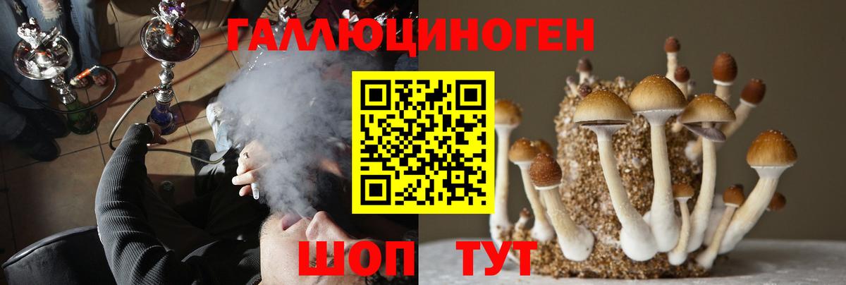 Галлюциногенные грибы Cubensis Сегежа